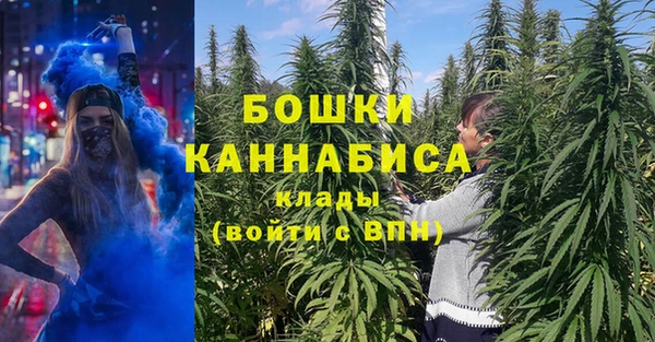 ГАЛЛЮЦИНОГЕННЫЕ ГРИБЫ Алексеевка