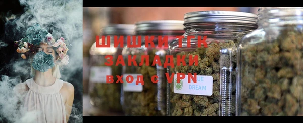 бошки Алзамай